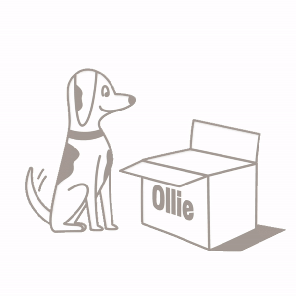 ezgif.com-gif-maker copy.gif