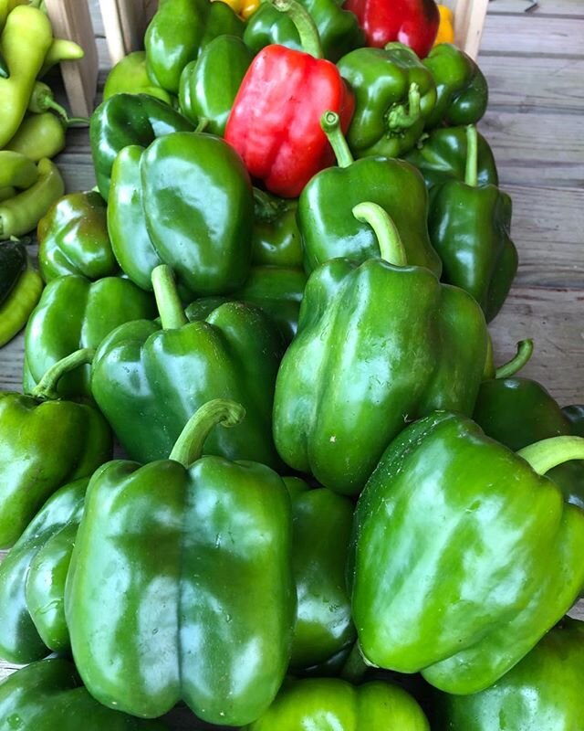 Just ... perfect peppers #smithfarmsindiana #peppers #csa