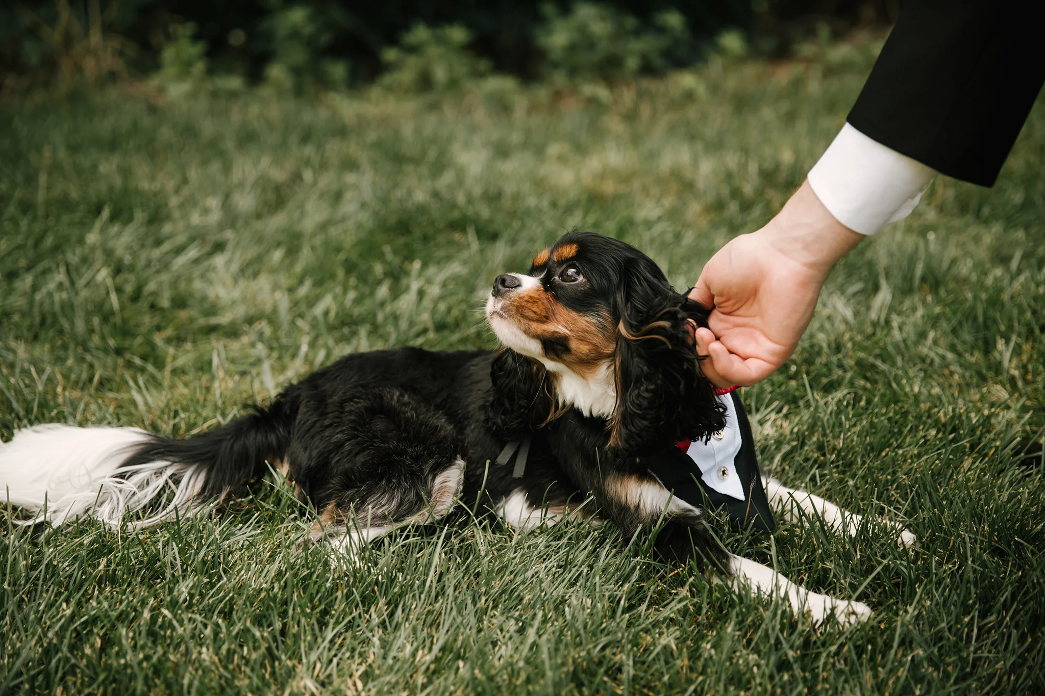 Red Photographic_COHEN_Wedding_Cleveland_22.jpg