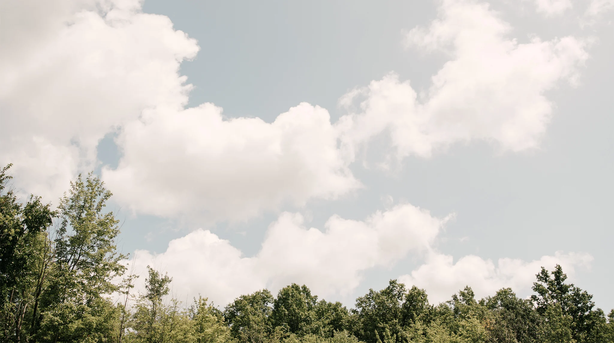 Red Photographic_COHEN_Wedding_Cleveland_46.jpg