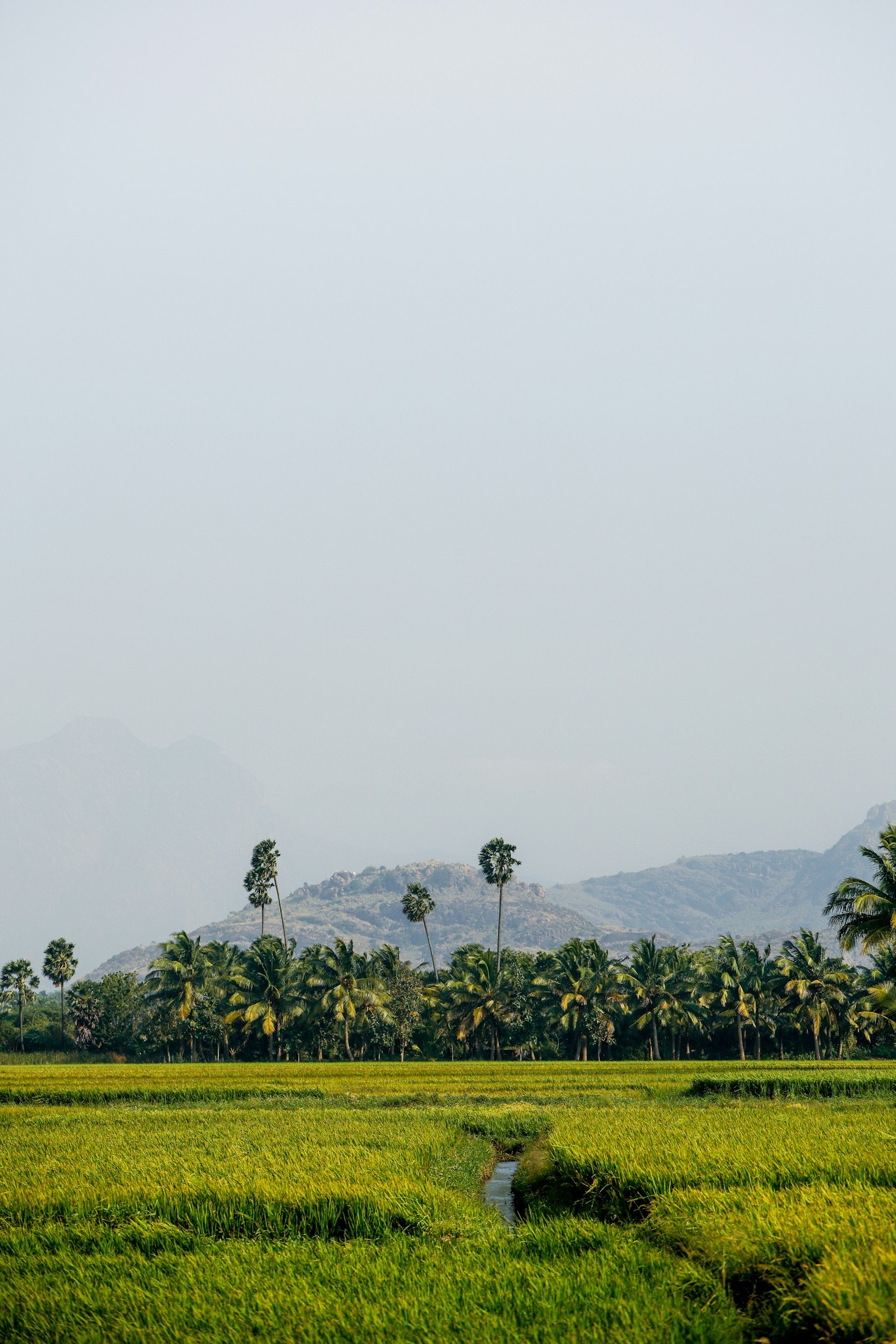 unsplash-image-_Ew6tcpCkko.jpg