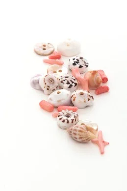 Shells.jpg