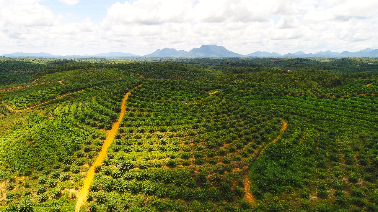 WhatsApp Image 2017-10-13 at 7.35.24 AM.jpeg