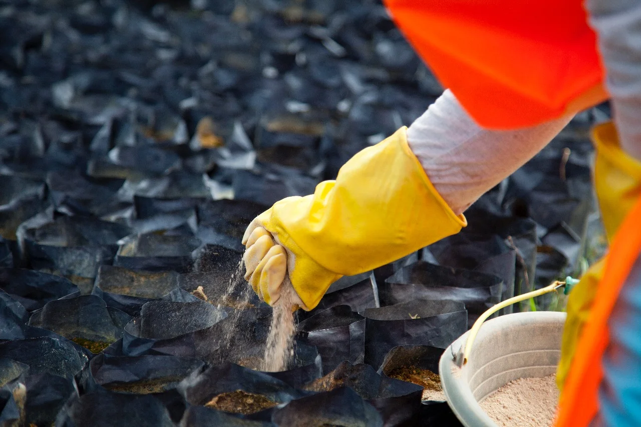 WhatsApp Image 2017-10-13 at 7.35.42 AM.jpeg