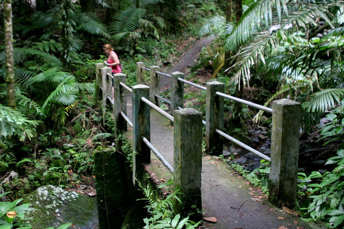 en yunque 02.jpg
