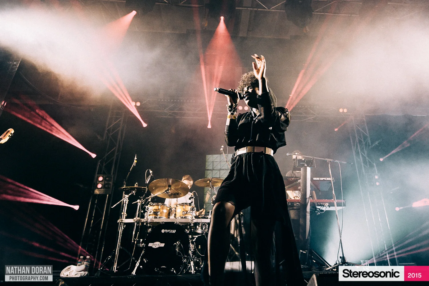 Stereosonic Perth 2015-23.jpg