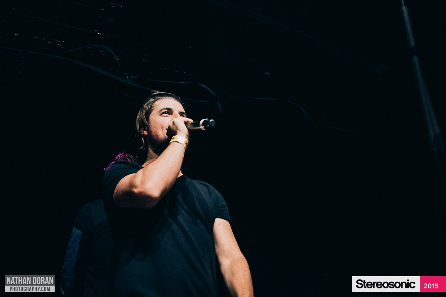 Stereosonic Perth 2015-99.jpg