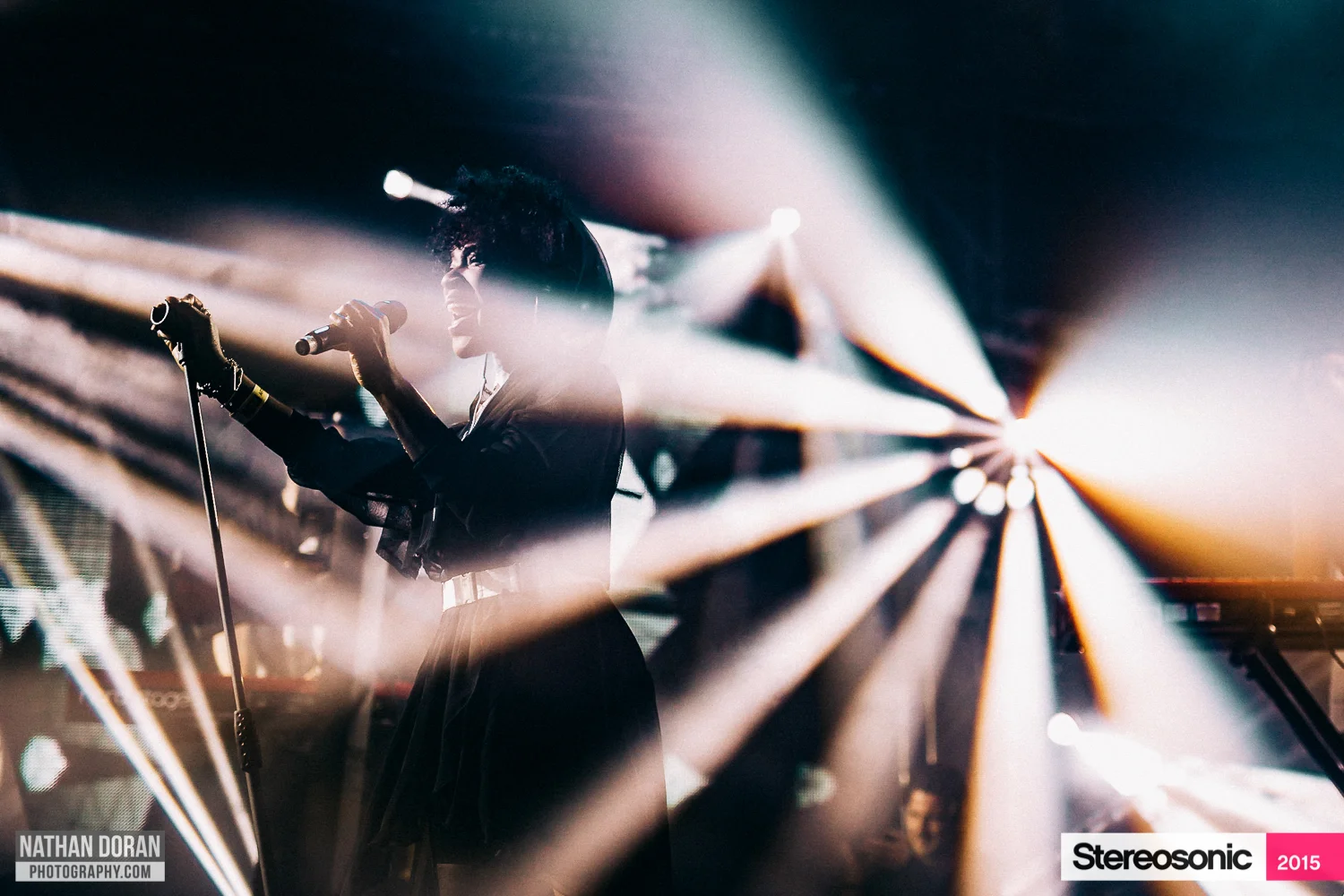 Stereosonic Perth 2015-27.jpg