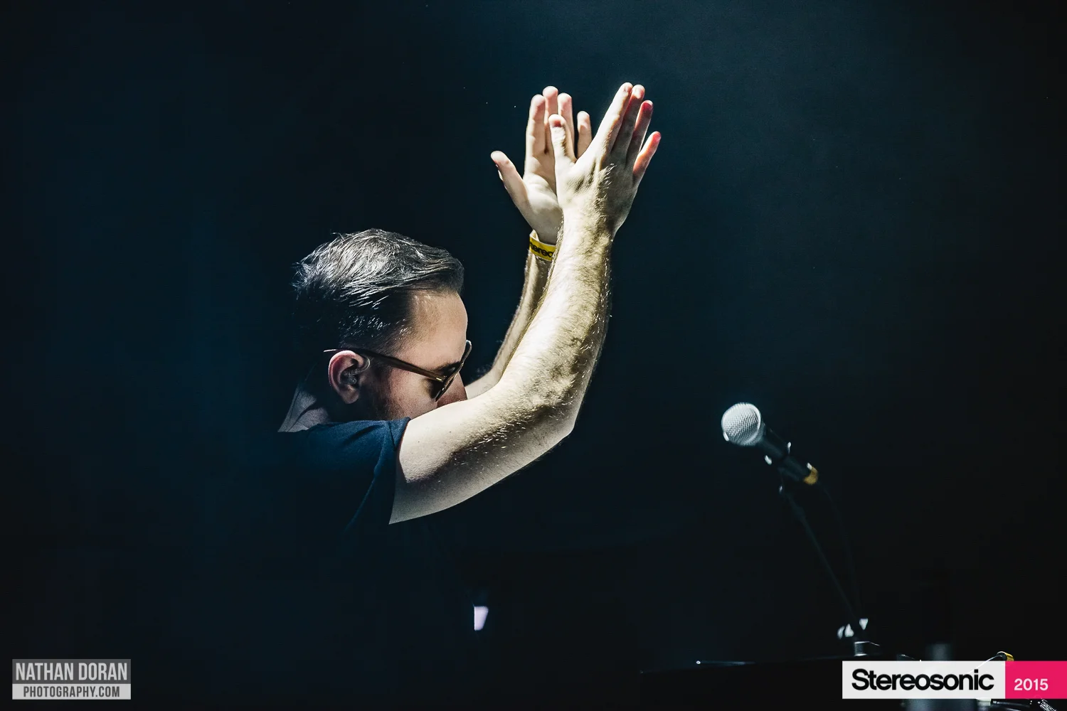 Stereosonic Perth 2015-74.jpg