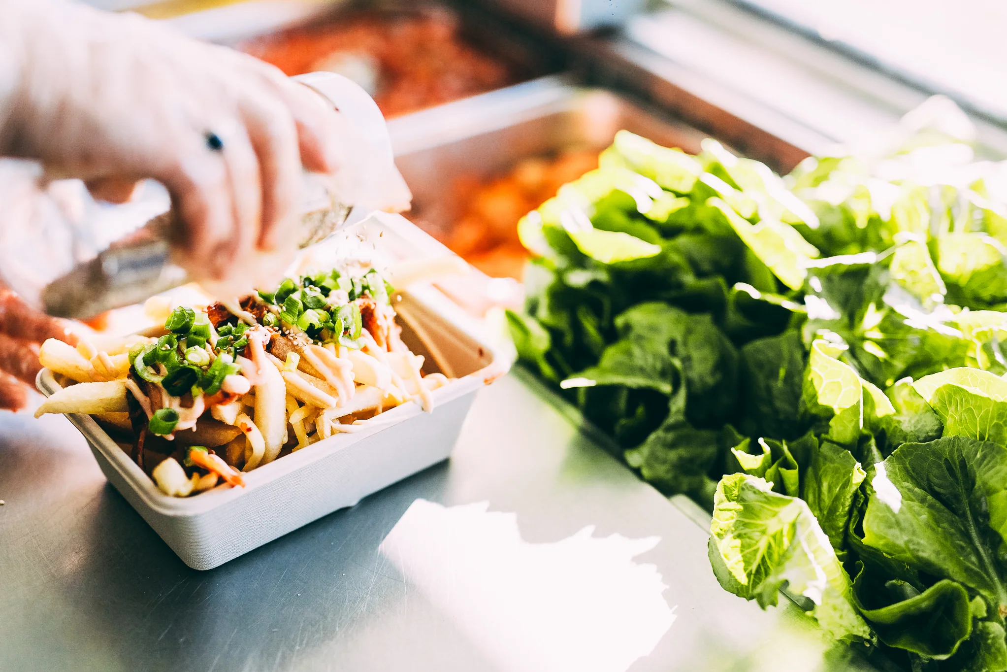 2017-01-24_ FoodTruck CarnivalMornington-100.jpg