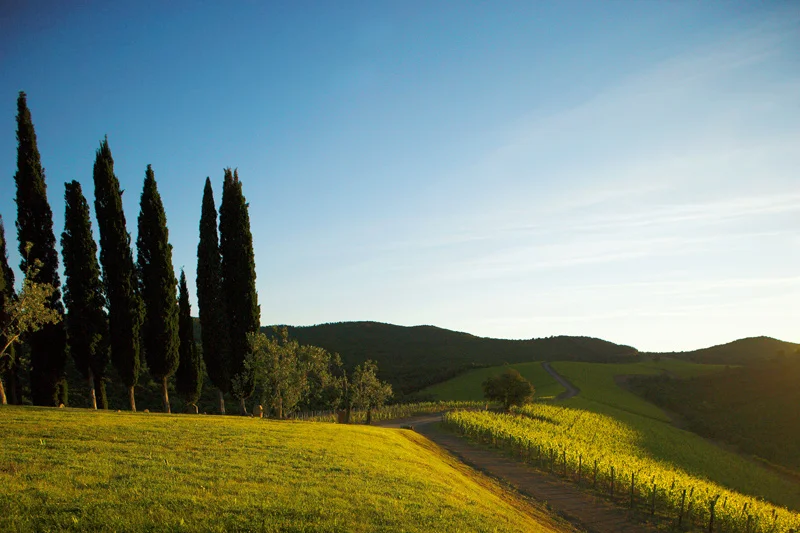castiglion_del_bosco-2.jpg