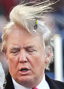 "Hang on, I'm confused. Are Mexicans considered Monstrous Humanoids or Evil Outsiders ?"