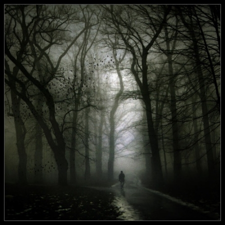 "I took the road less traveled, and now I'm fucking lost."
