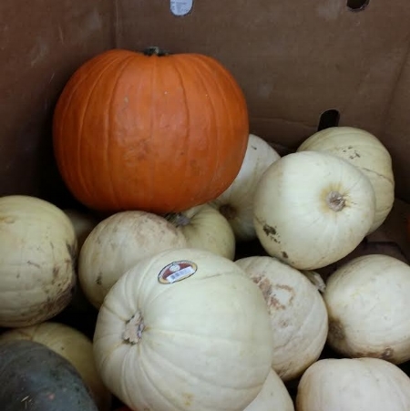 What's big, brainless, and orange, and supported by lesser whiter versions of itself?