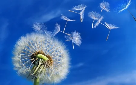 Getting blown and releasing seed. An alternative metric with which to measure success.