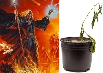"I will destroy you with the power of shitty gardening!"