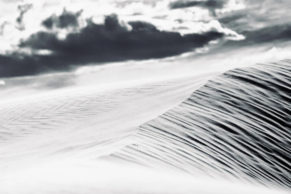 15 Dune 1.jpg