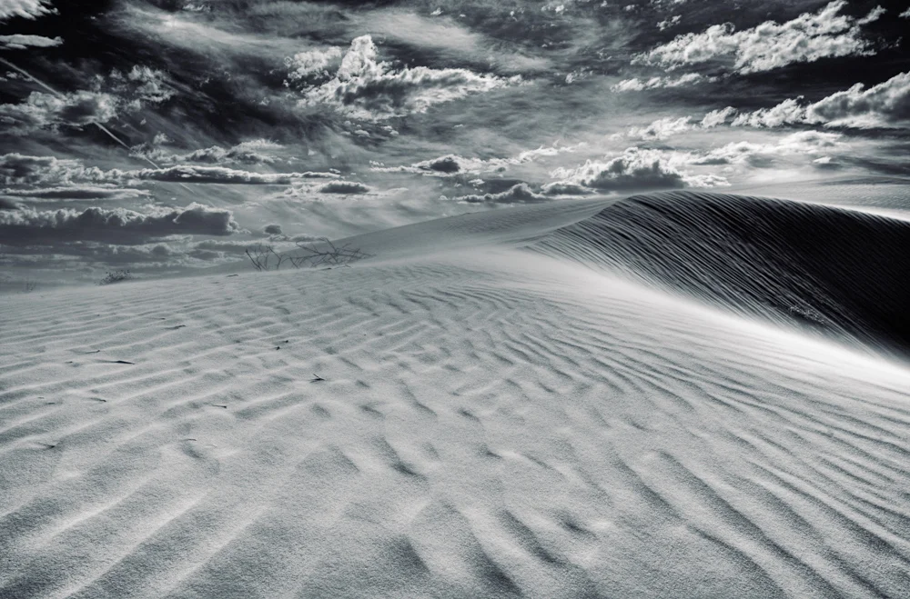 17 Dune 3.jpg