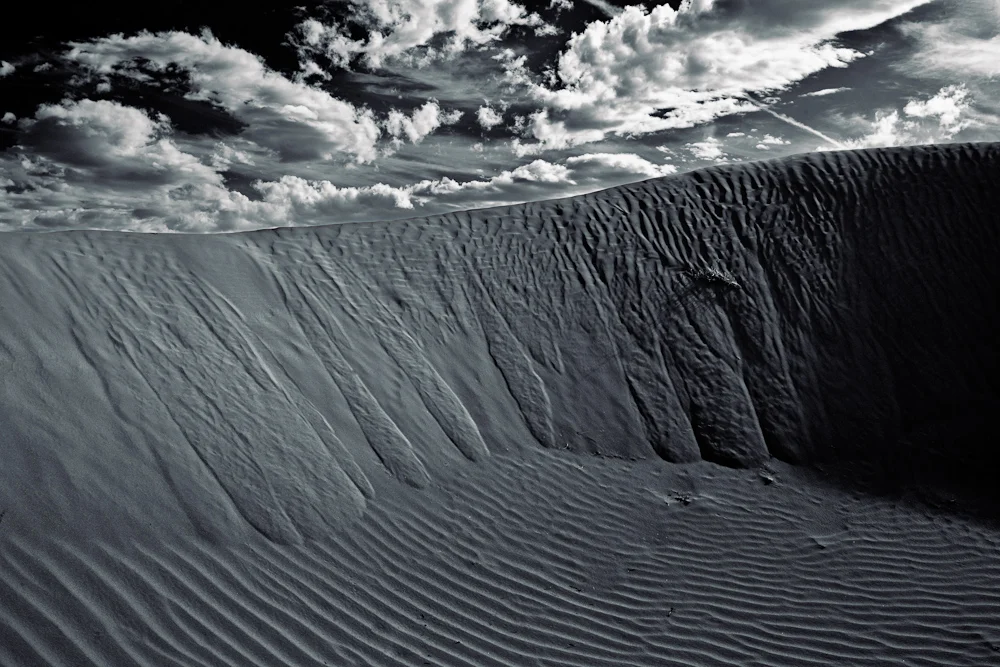 18 Dune 4.jpg