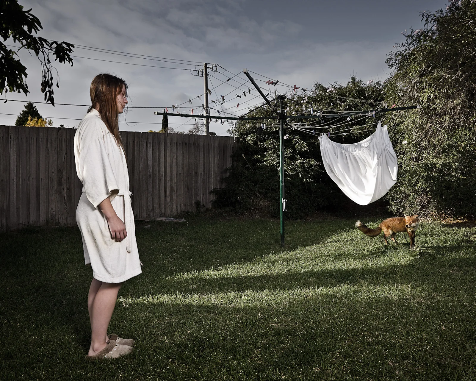 Fox Encounter.jpg