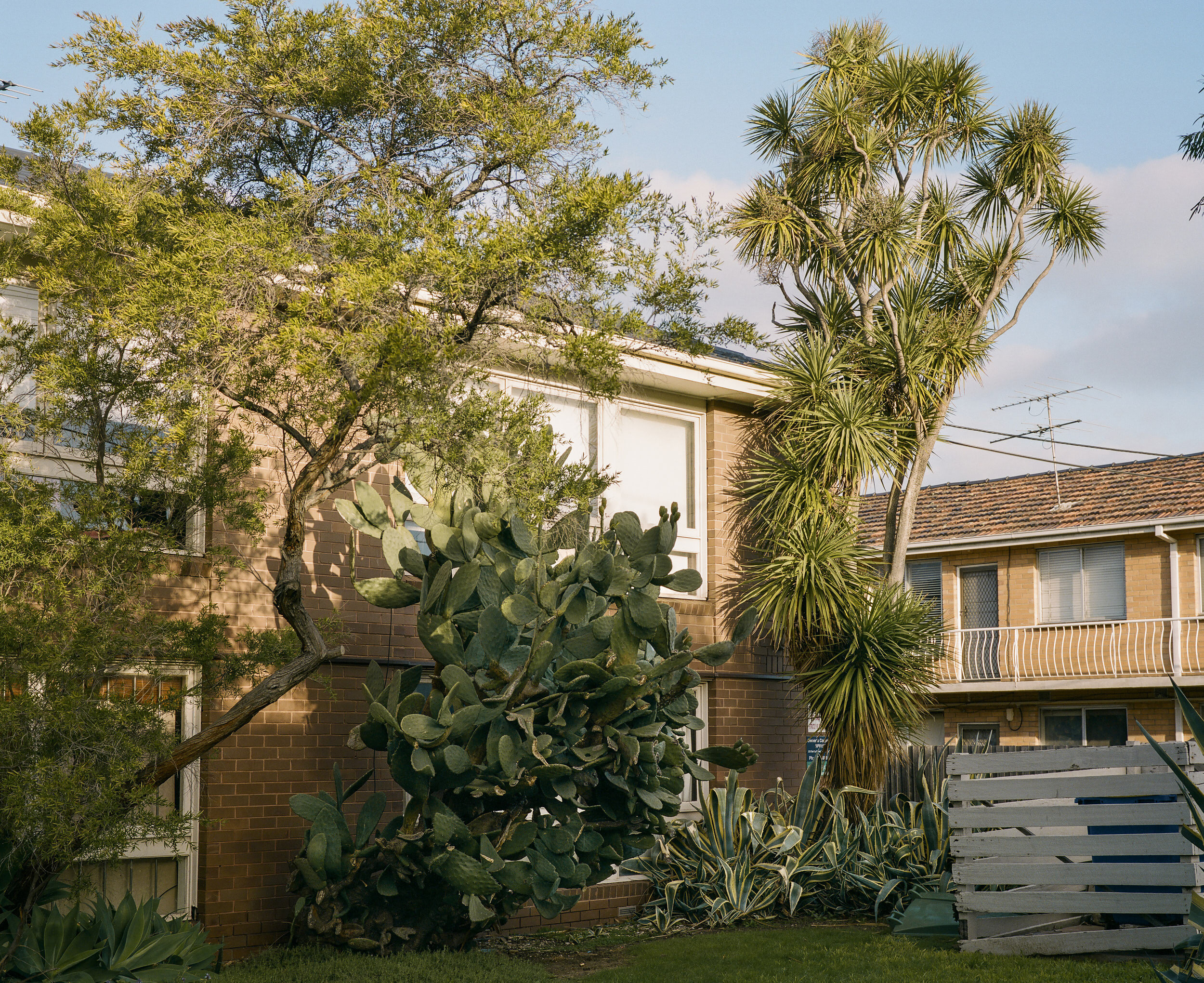 190829_Footscray_000033950006.jpg