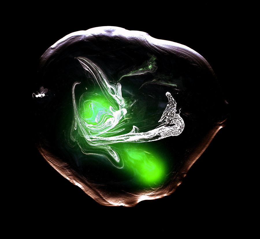 SCAN_1_3_web.jpg