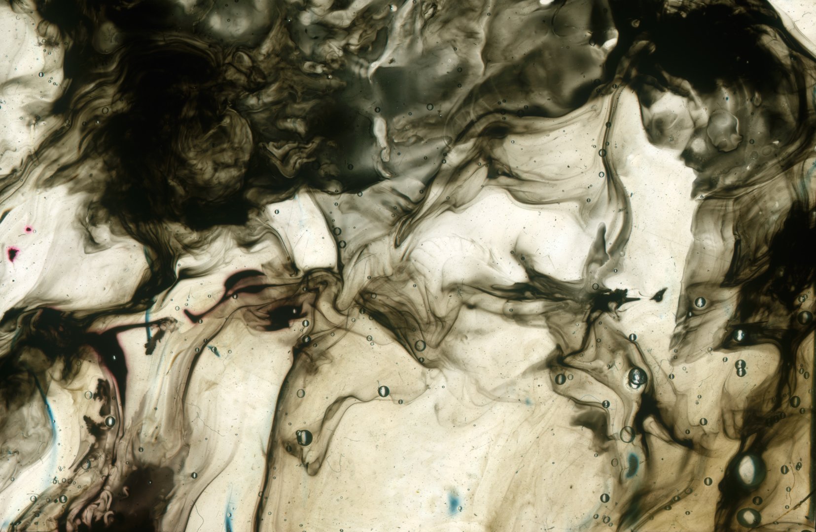SCAN_22_1.jpg