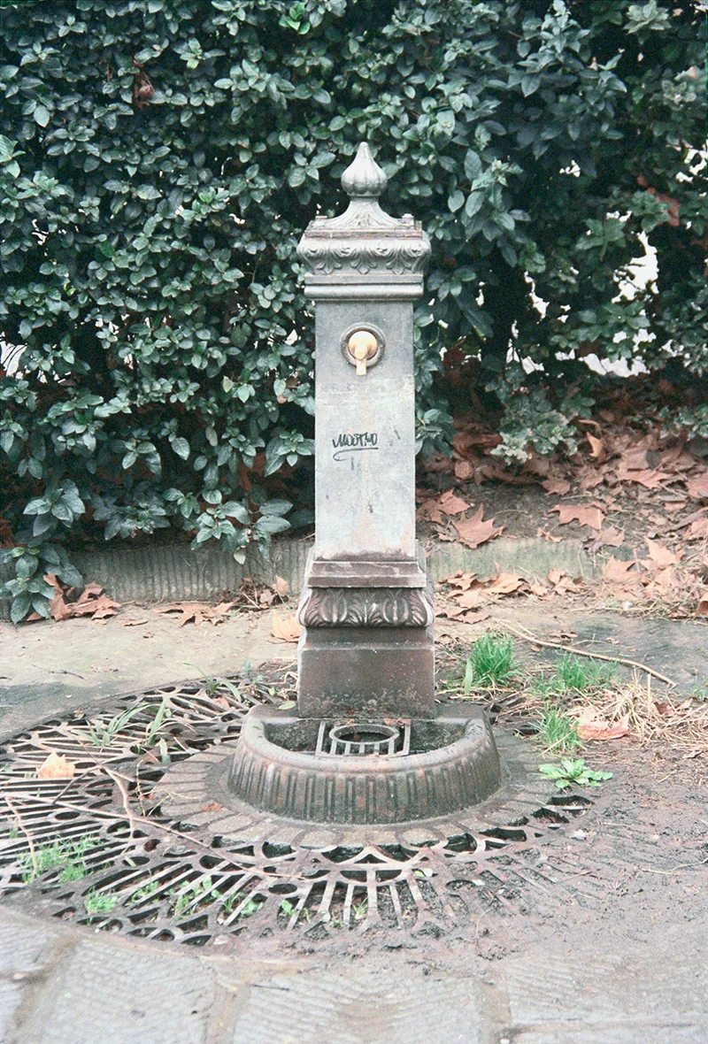 Picture_14.jpg