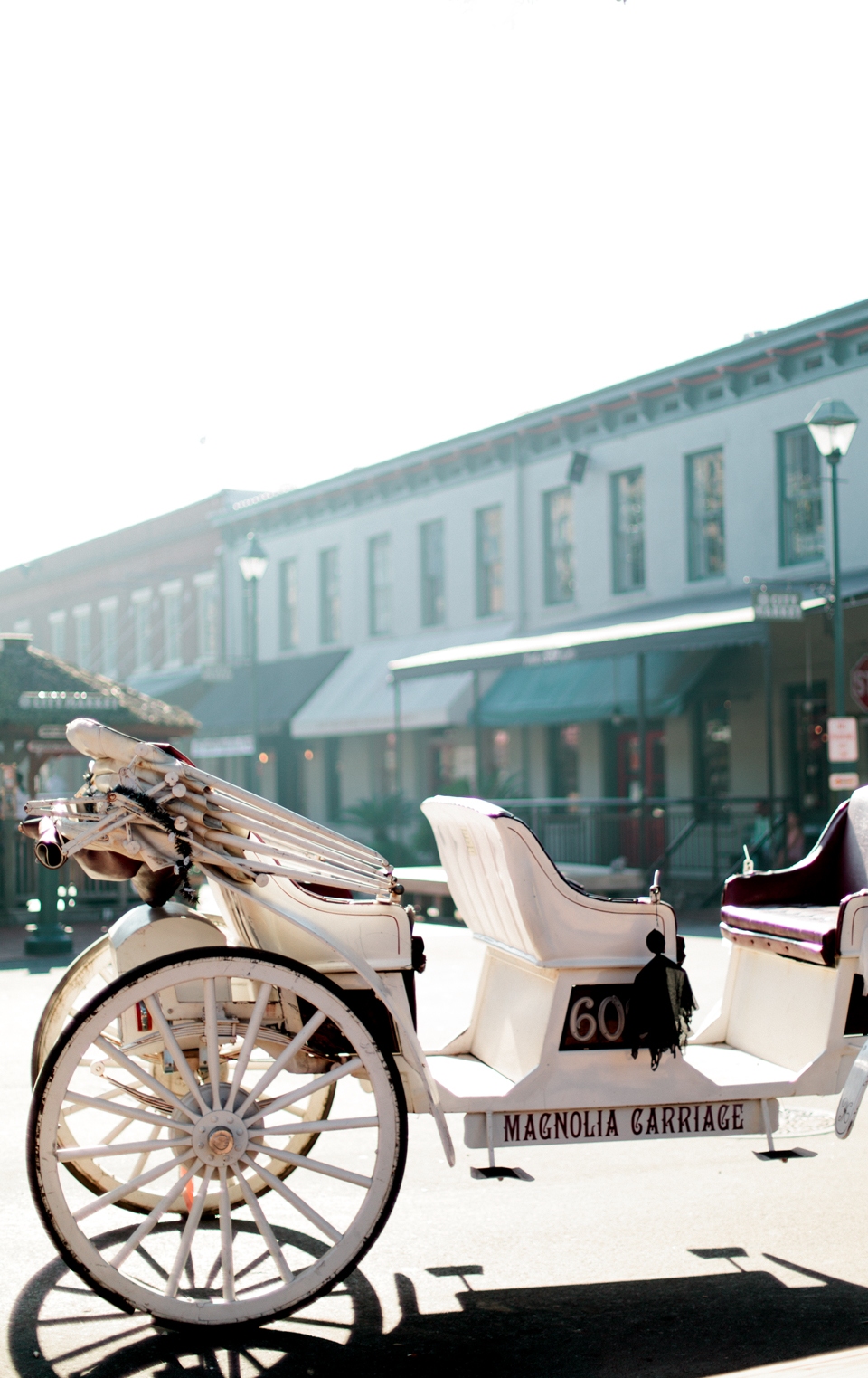 Image of downtown historic Savannah, Georgia.  This is a horse drawn carriage for local tours.