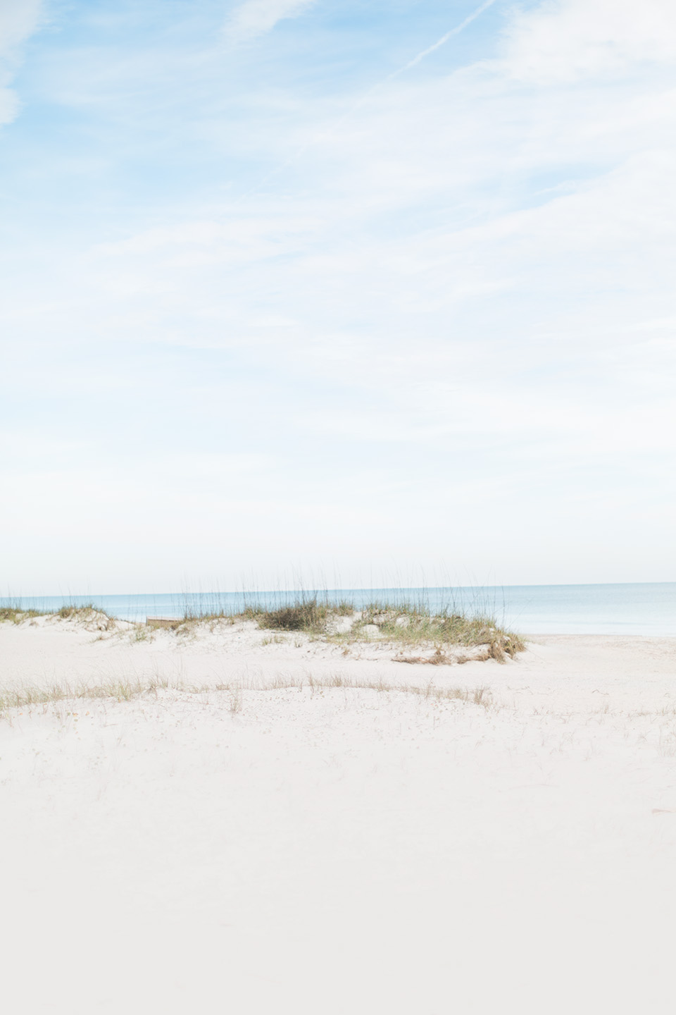 Picture of a sand dune on the Atlantic Ocean at the Omni Amelia Island Plantation Resort.