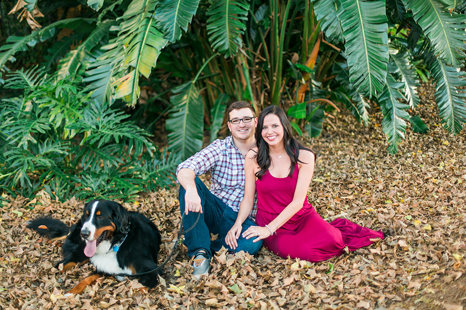 A picture of an engaged couple sitting together with their Bernese Mountain Dog in downtown Orlando, Florida.  There are tropical plants behind them.