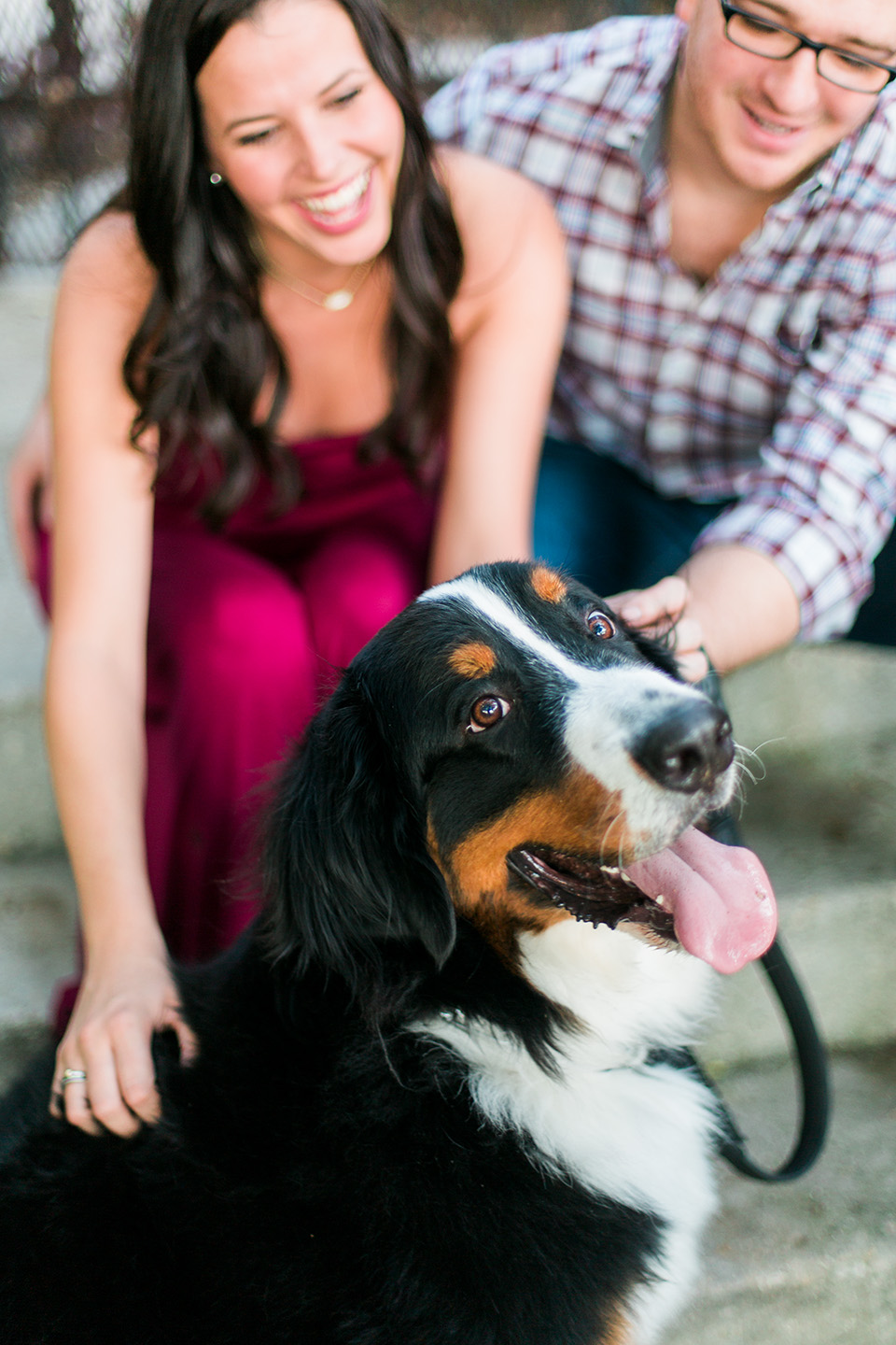 Picture of a Bernese Mountain Dog sitting with a couple in the background downtown Orlando, Florida.