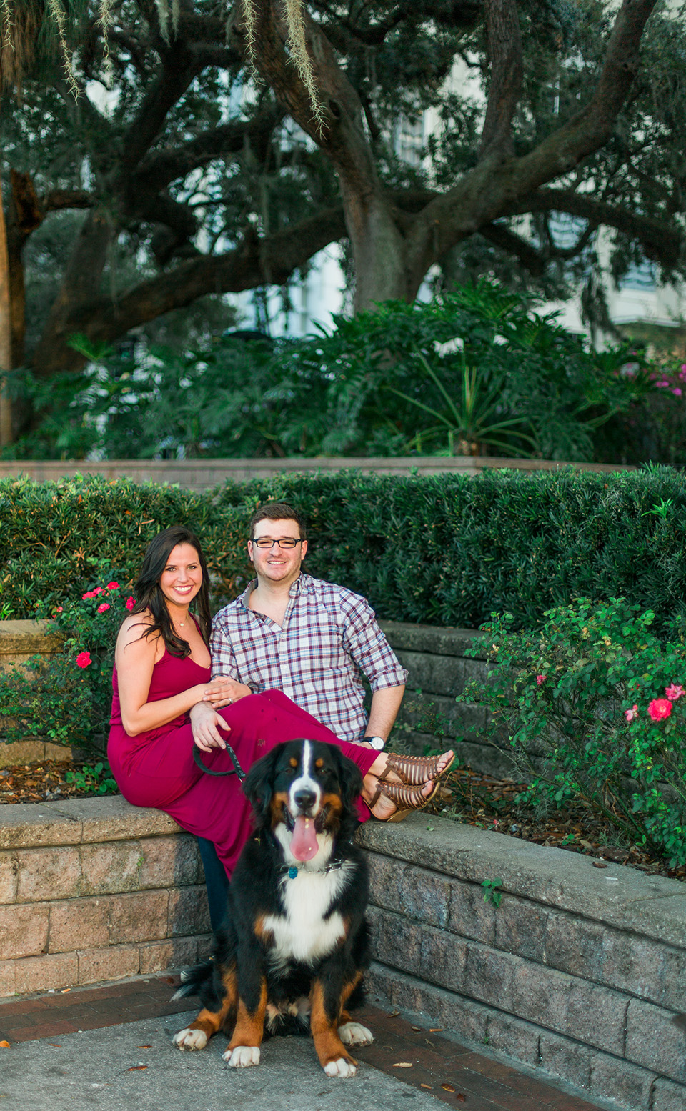 Image of an engaged couple with their Bernese Mountain Dog in downtown Orlando, Florida.  They are all sitting together and smiling with greenery in the background.