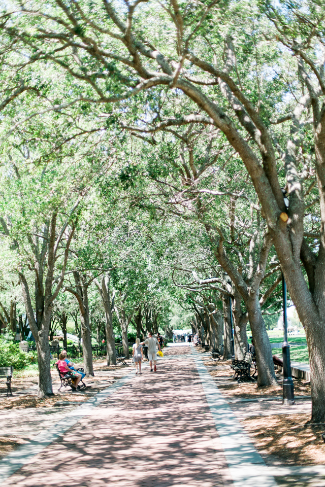 Waterfront Park in historic Charleston, South Carolina