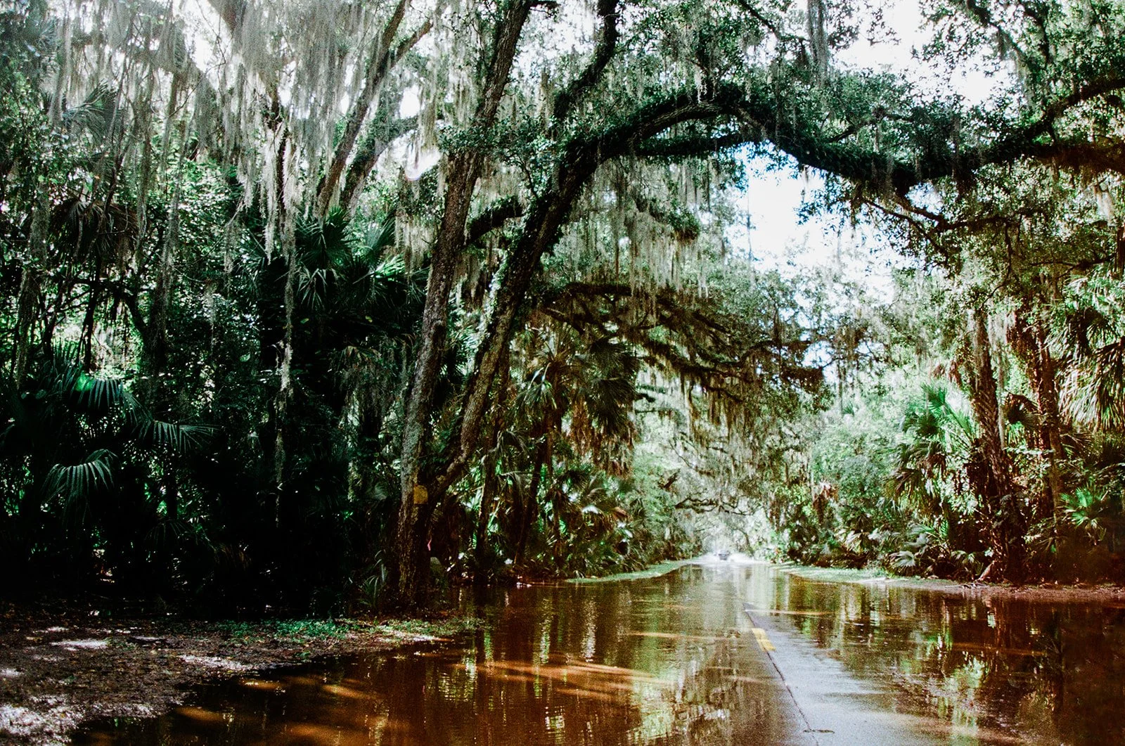 Florida on Film182_websize.jpg