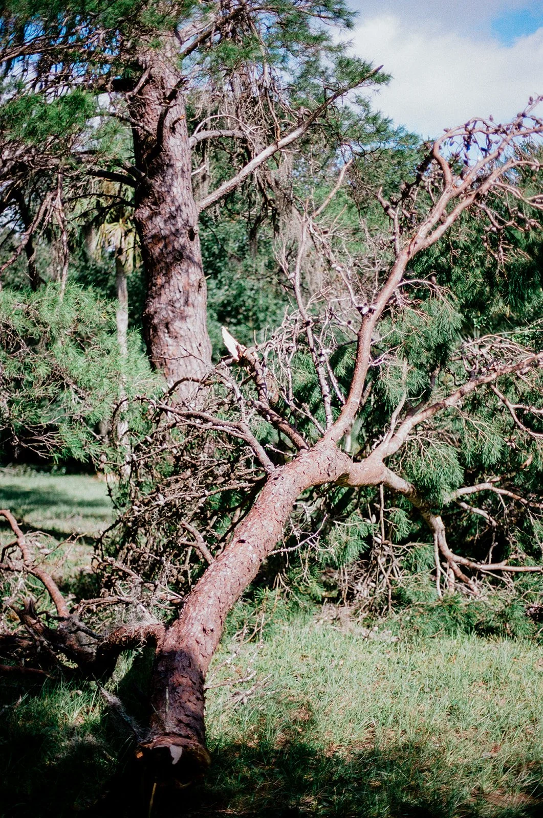 Hurricane Milton_32_websize.jpg