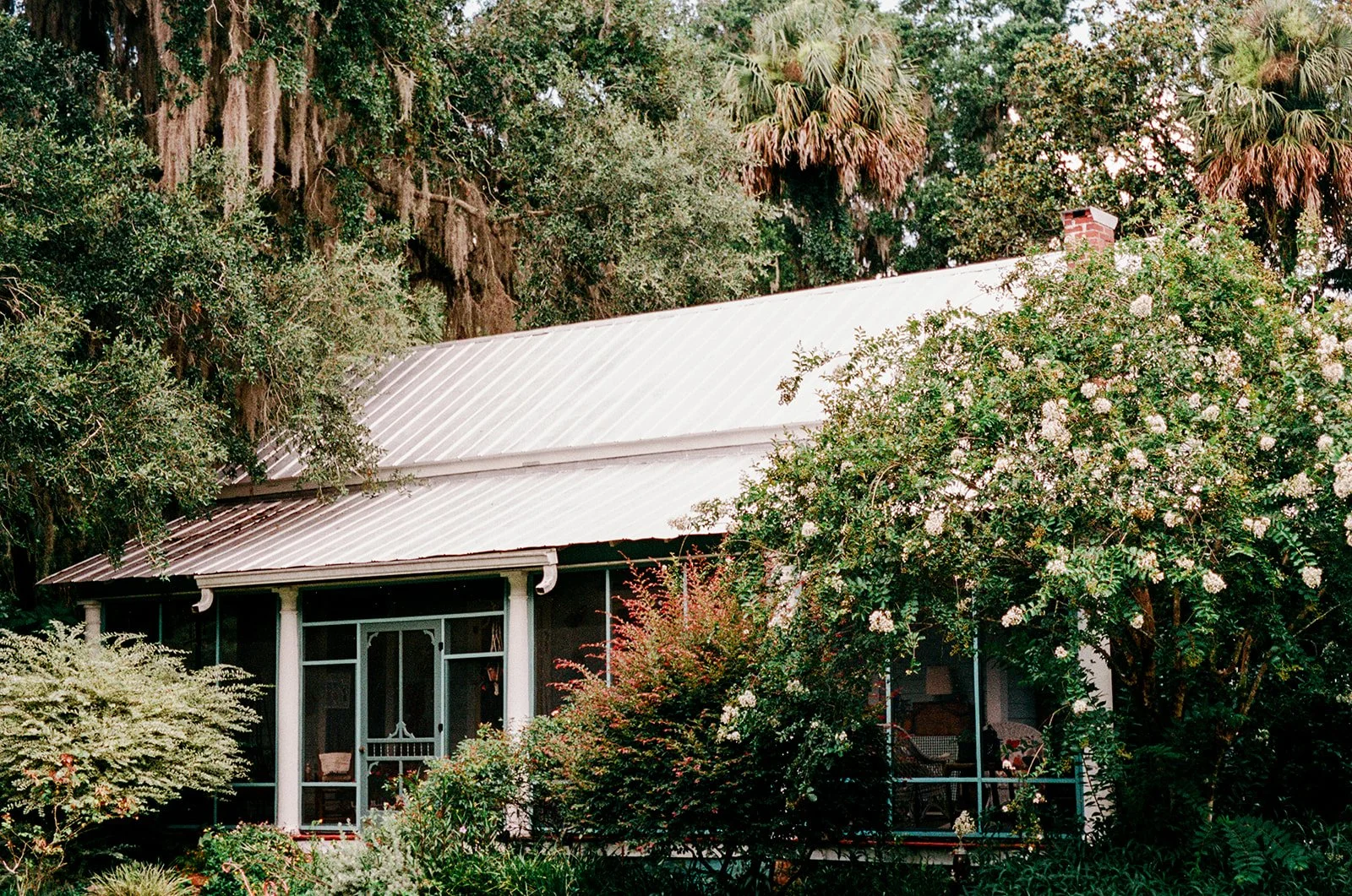 Micanopy_30_websize.jpg