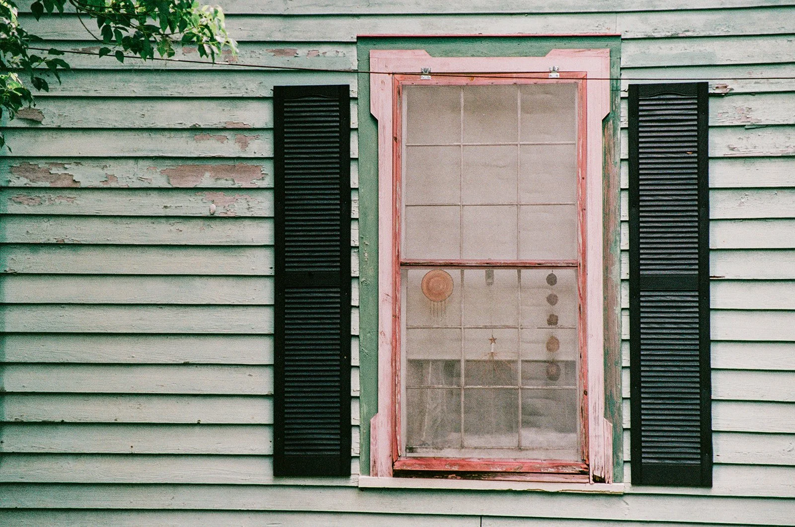 Micanopy_31_websize.jpg