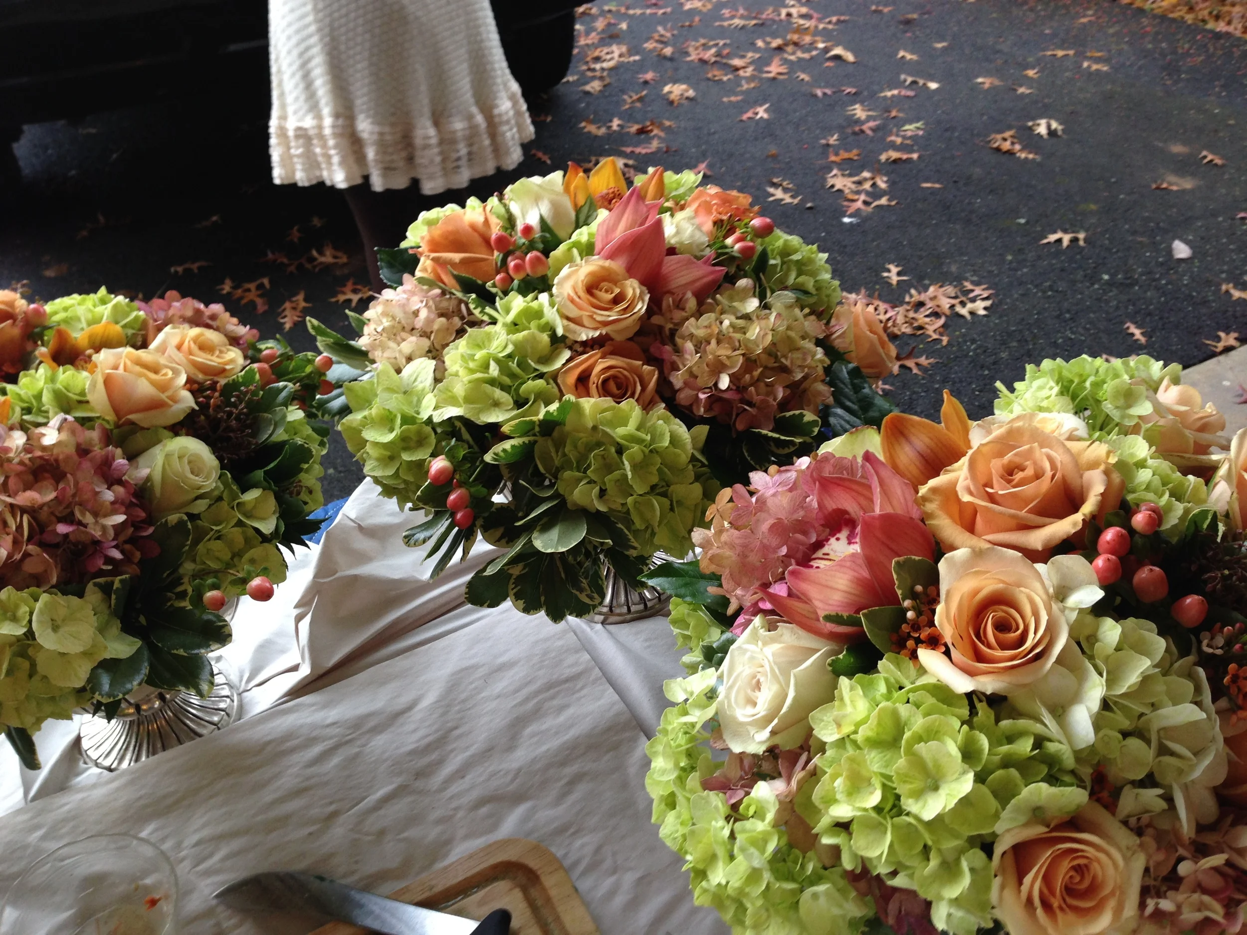  Photo by Meggie Galván 