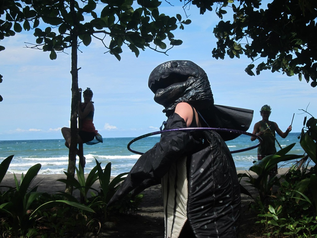 la tortuga feliz, costa rica