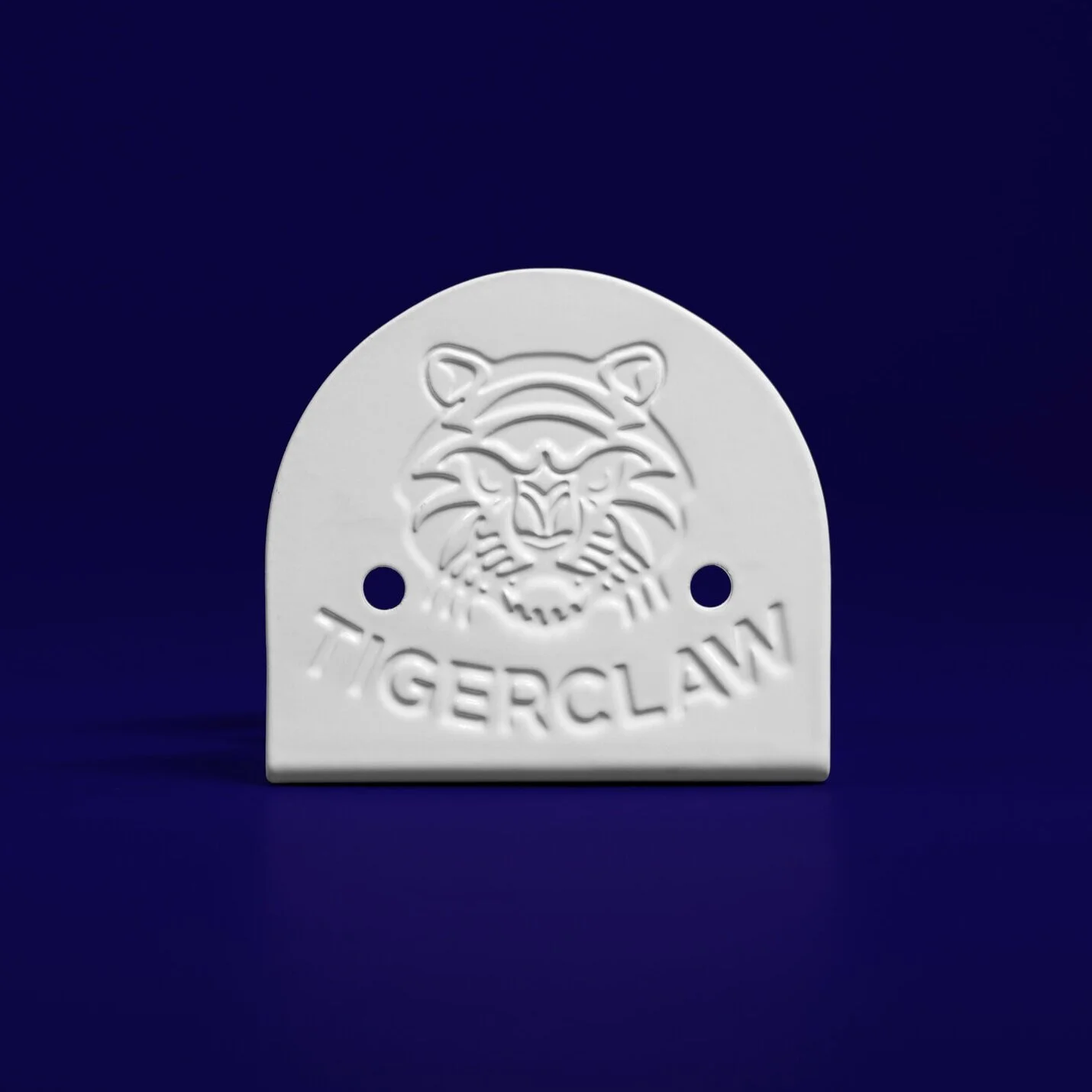TC SKATE DISPLAY