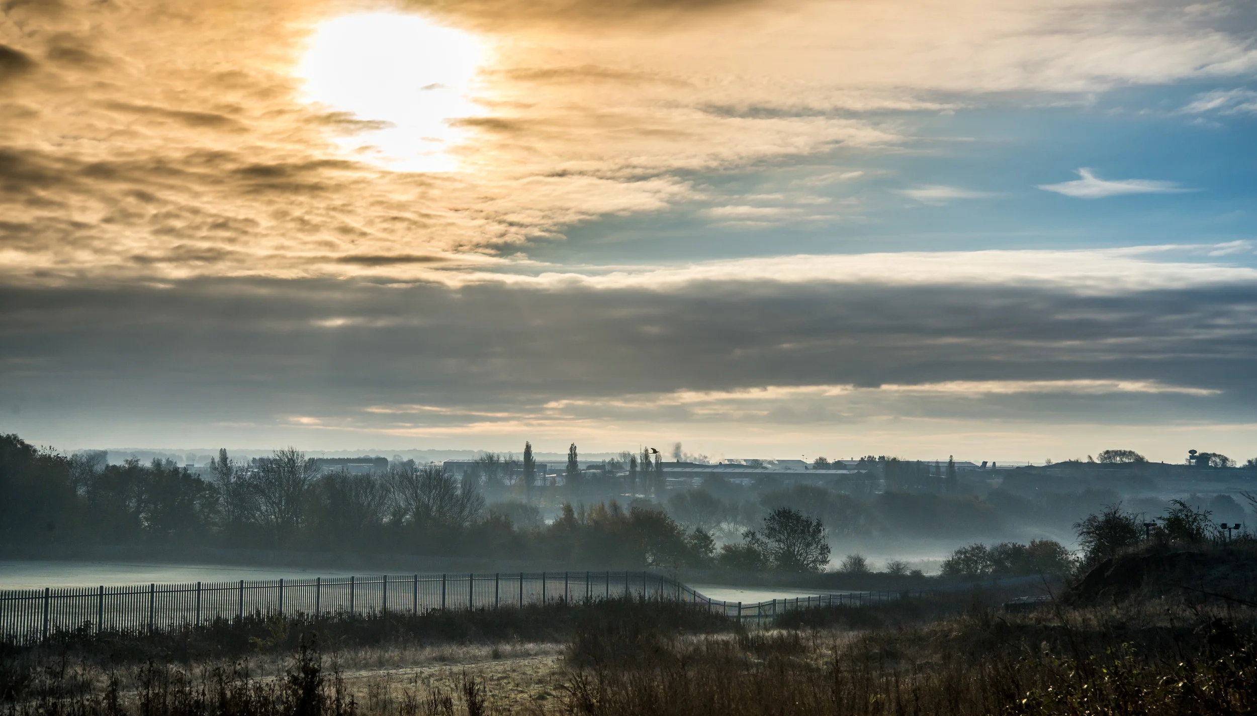 Early morning-1-4.jpg