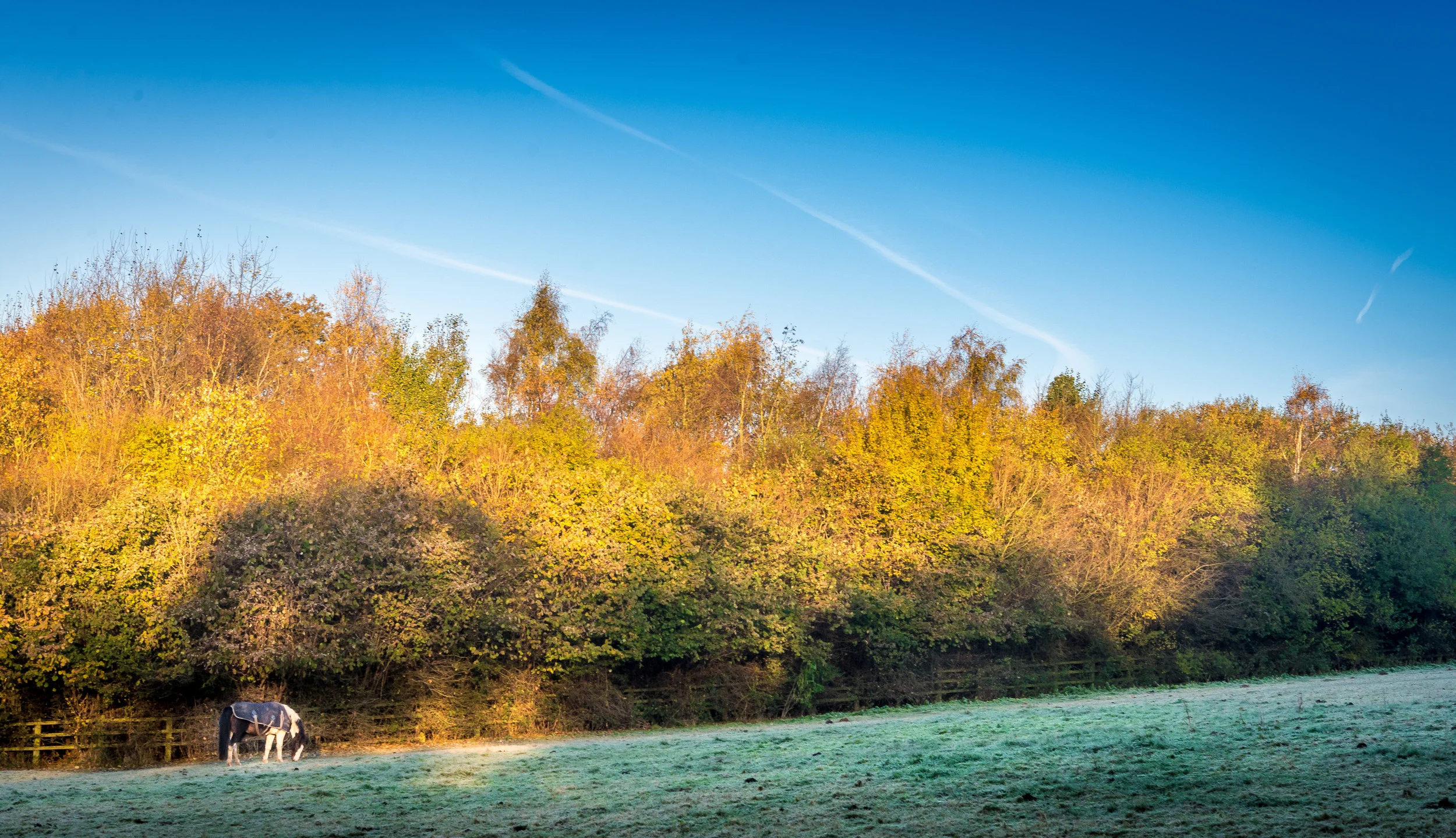 Early morning-1-5.jpg