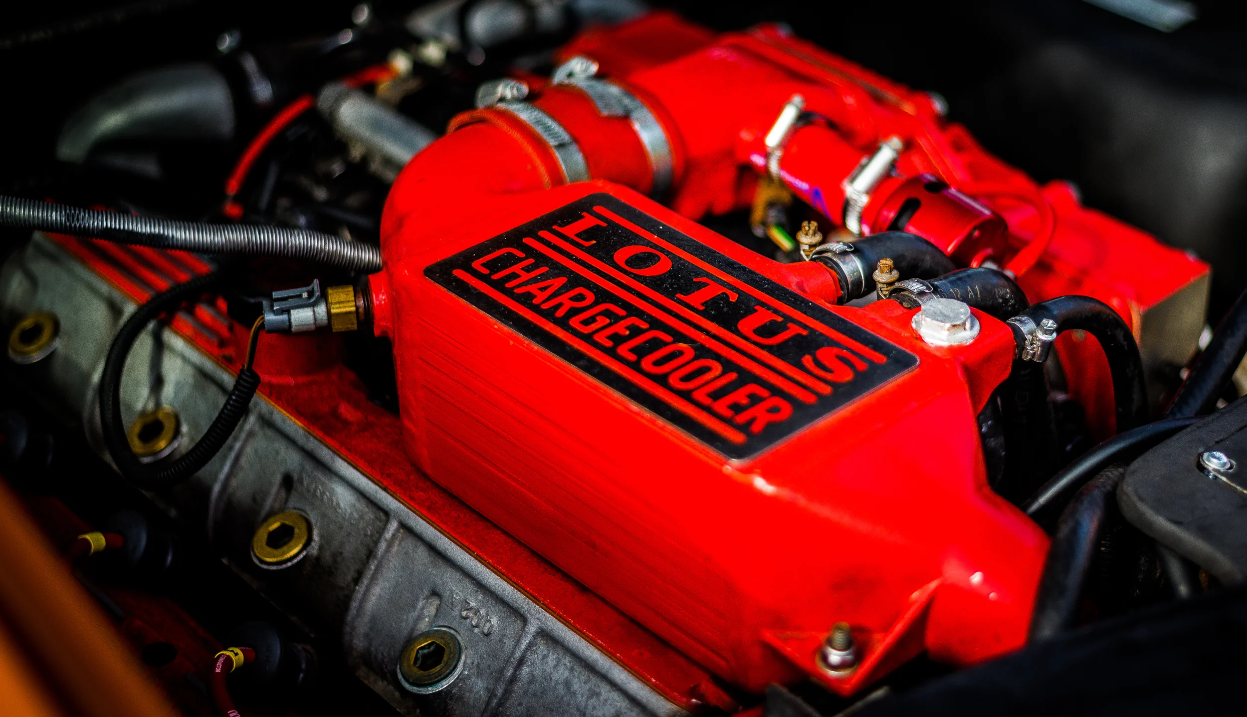 Cov Motoring Festival-1-21.jpg