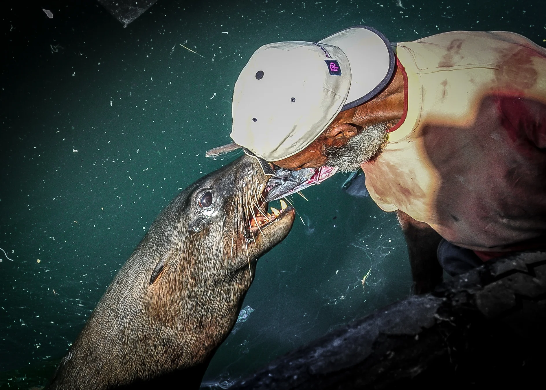 Cov Motoring-1-4.jpg