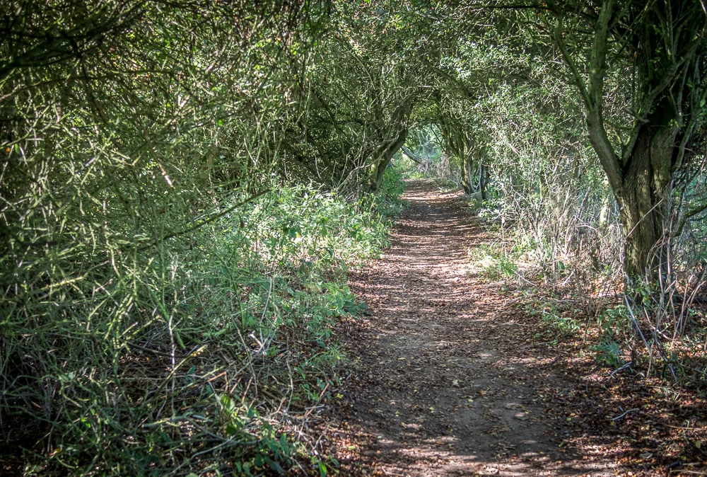 kenilworth-1-3.jpg