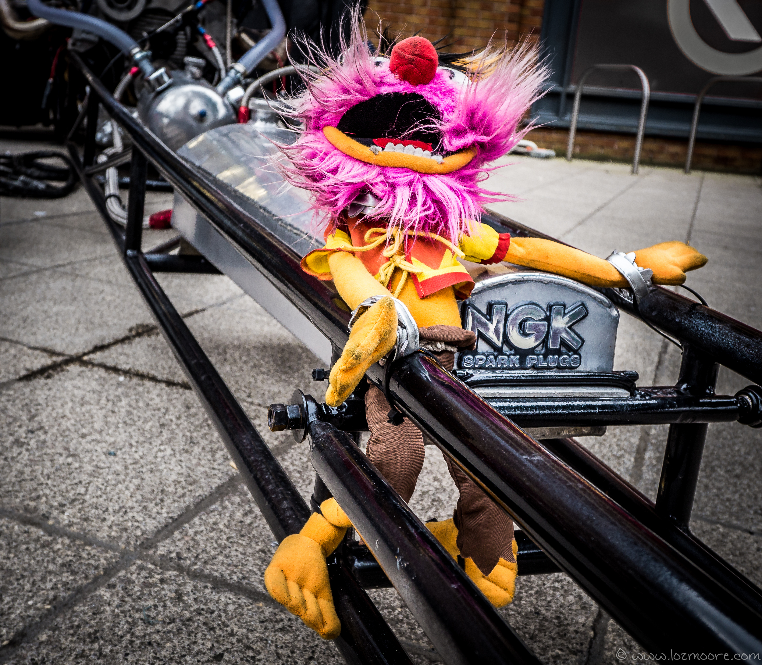 MotorFest-1-30.jpg