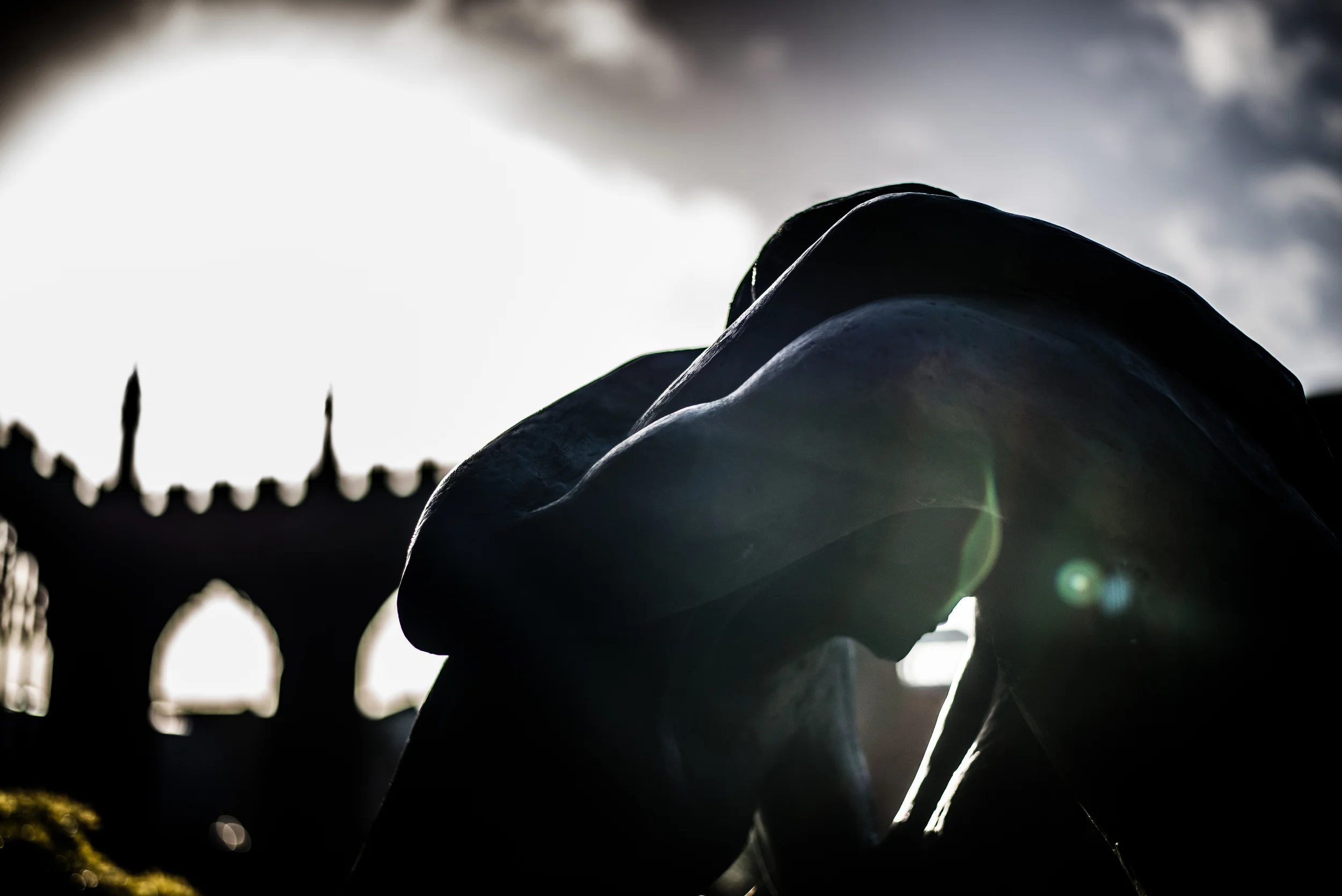 Coventry-1-24 - Copy.jpg