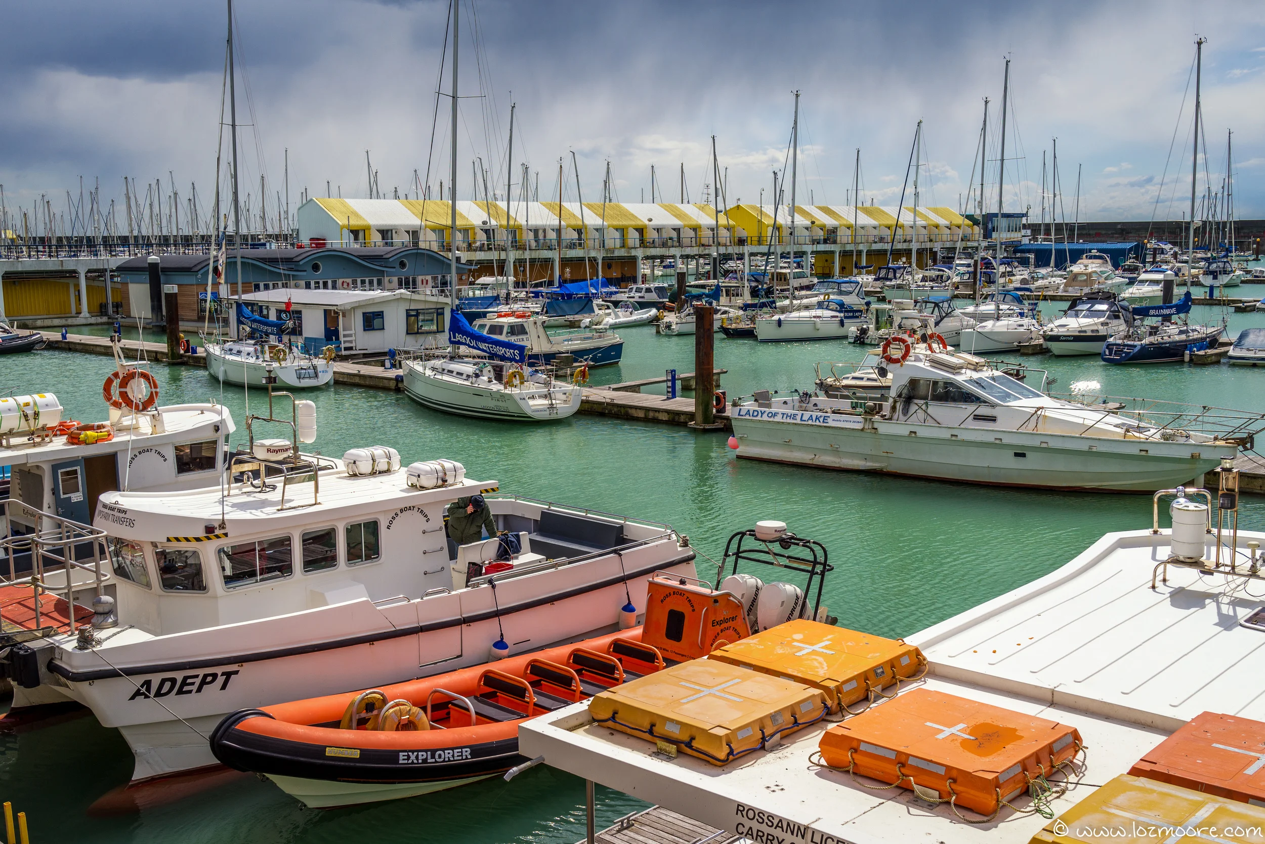 brighton marina