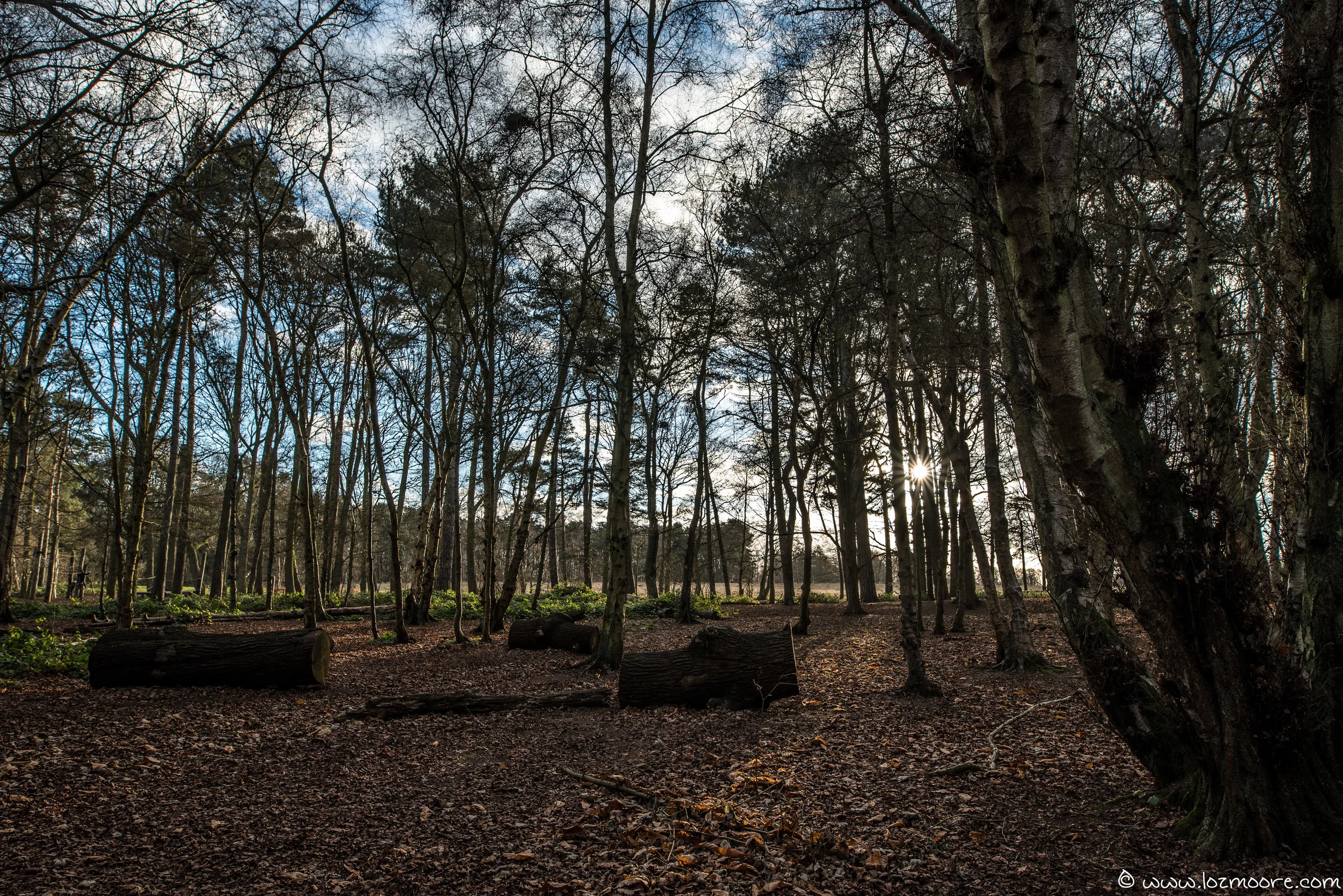 Coombe Abbey-1-2.jpg